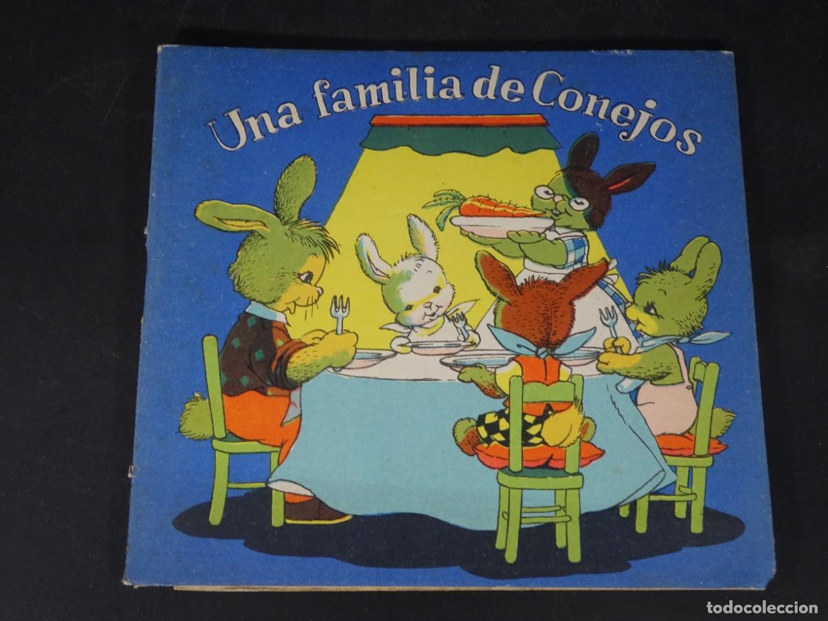 Libros de segunda mano: ANTIGUO CUENTO,UNA FAM&Iacute;LIA DE CONEJOS, ILUSTRADO X J.FERRANDIZ ,COLECCI&Oacute;N ENANITO, BAGU&Ntilde;A, VER FOTOS