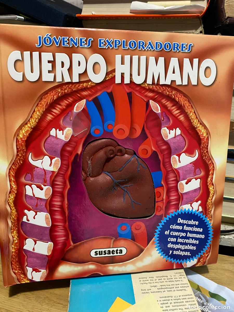 Libros de segunda mano: JOVENES EXPLORADORES, CUERPO HUMANO, EDT. SUSAETA