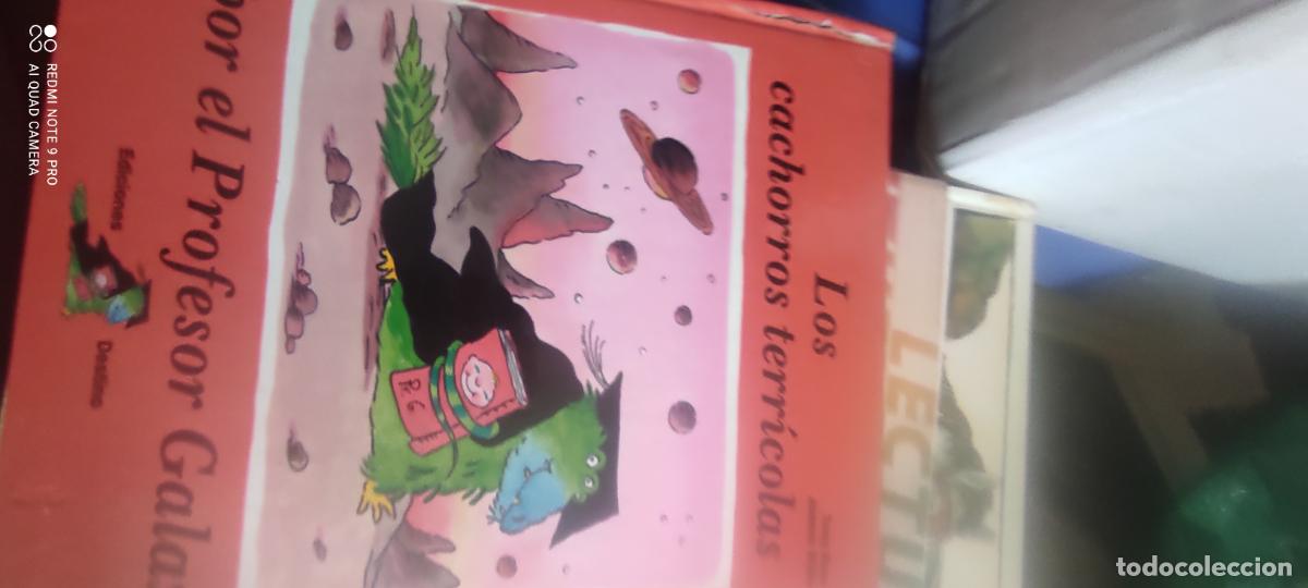 Libri di seconda mano: LOS CACHORROS TERR&Iacute;COLAS POR EL PROFESOR GALAX. - ROSS, Tony. WILLIS, Jeanne.