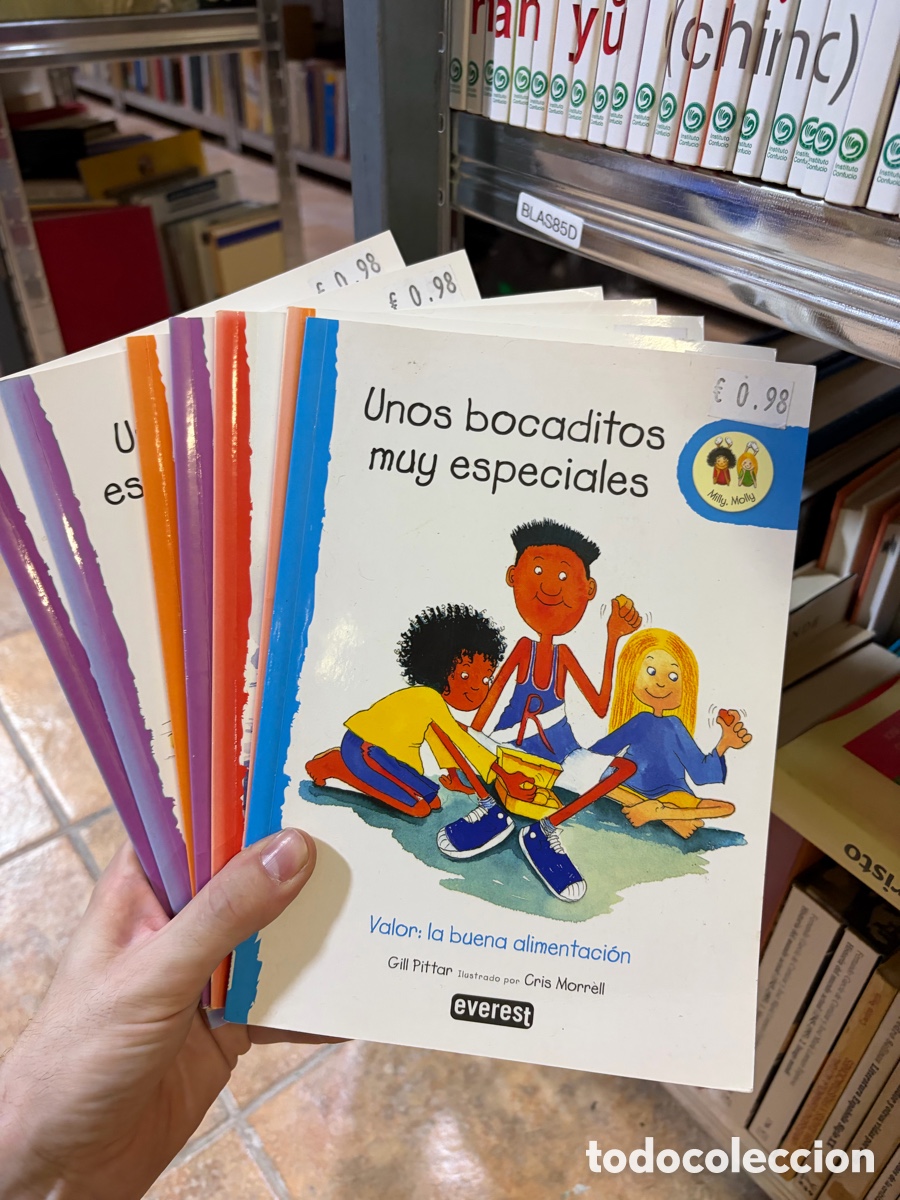 Libros de segunda mano: Blas85D lote de cientos ilustradores sobre valores. Everest.