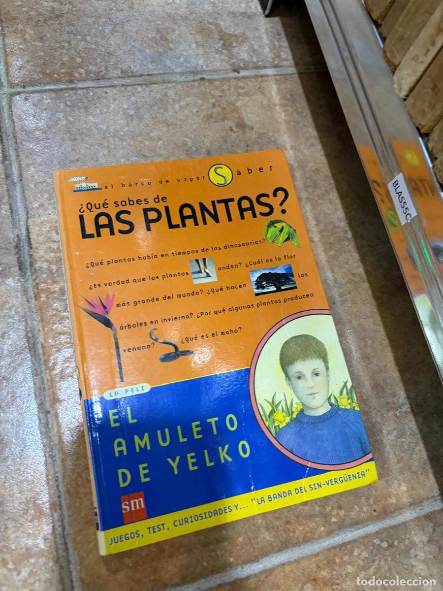Libros de segunda mano: BLAS55C La Peli &mdash; &iquest;Qu&eacute; sabes de las plantas? / El amuleto de Yelko &mdash; SM.