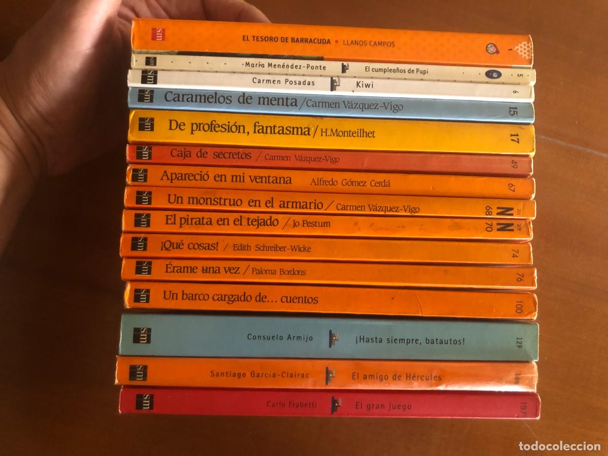 Libros de segunda mano: Lote 15 libros colecci&oacute;n El barco de vapor