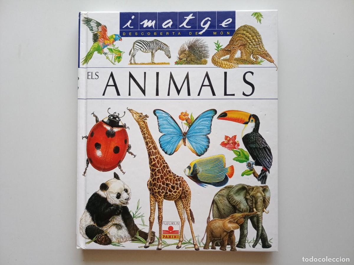 Libros de segunda mano: ELS ANIMALS. IMATGE. DESCOBERTA DEL M&Oacute;N. FOLI. 2000. MOLT IL.LUSTRAT.