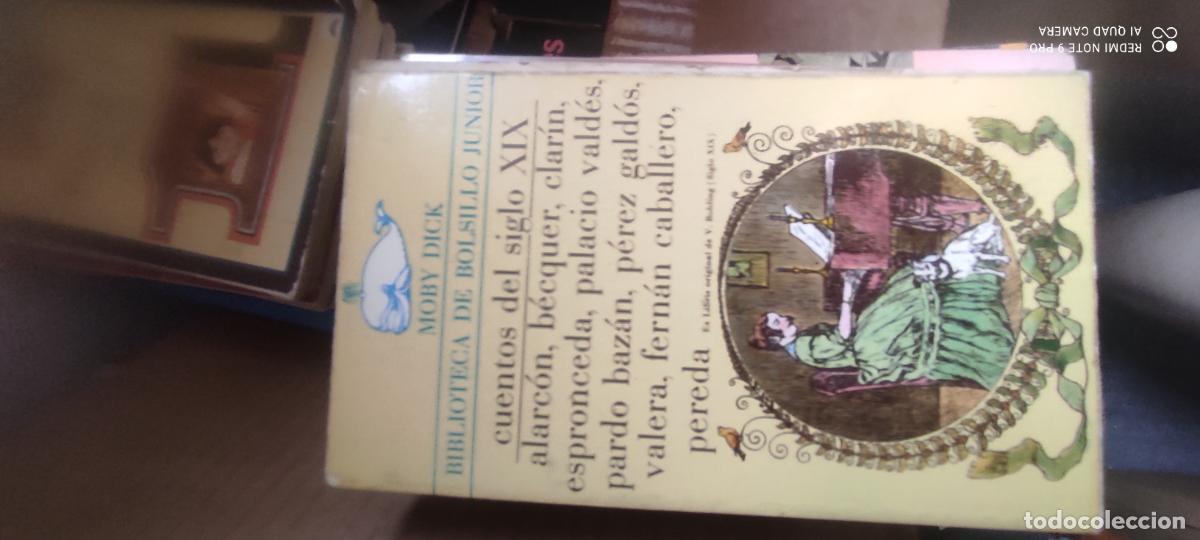 Libros de segunda mano: CUENTOS DEL SIGLO XIX - COLECCI&Oacute;N MOBY DICK - ED. JUAN GRANICA 1985