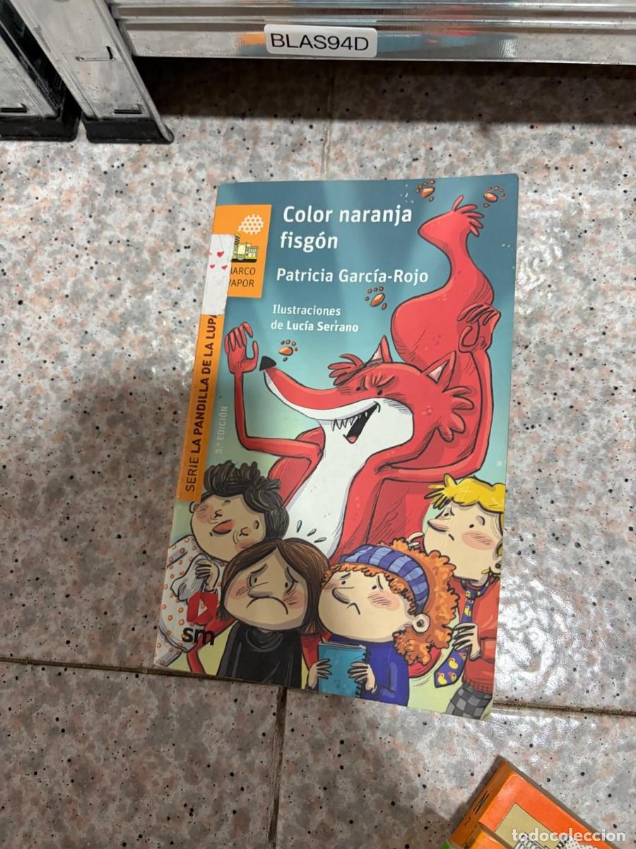 Libros de segunda mano: BLAS94D Patricia Garc&iacute;a-Rojo &mdash; Color naranja fisg&oacute;n &mdash; SM
