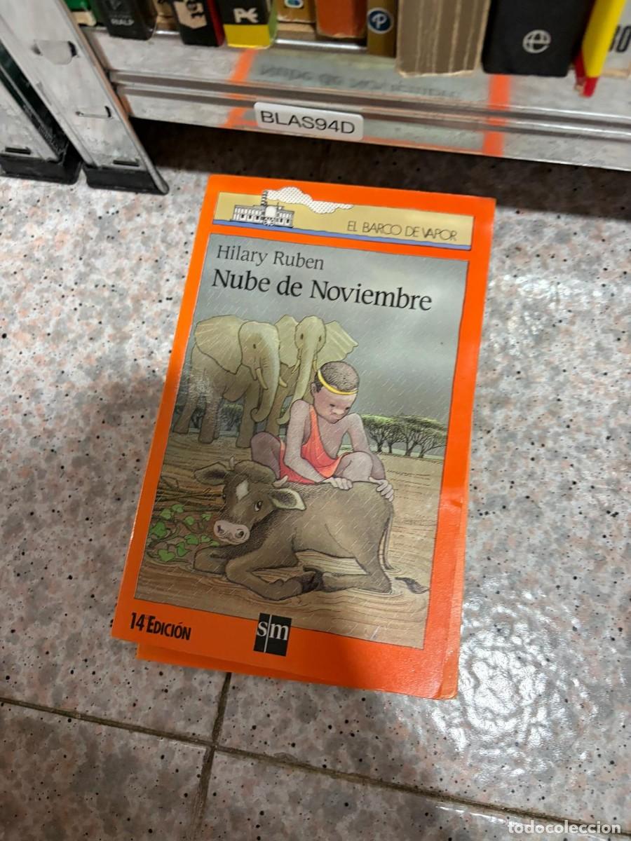 Libros de segunda mano: BLAS94D Hilary Ruben &mdash; Nube de Noviembre &mdash; SM (El Barco de Vapor)