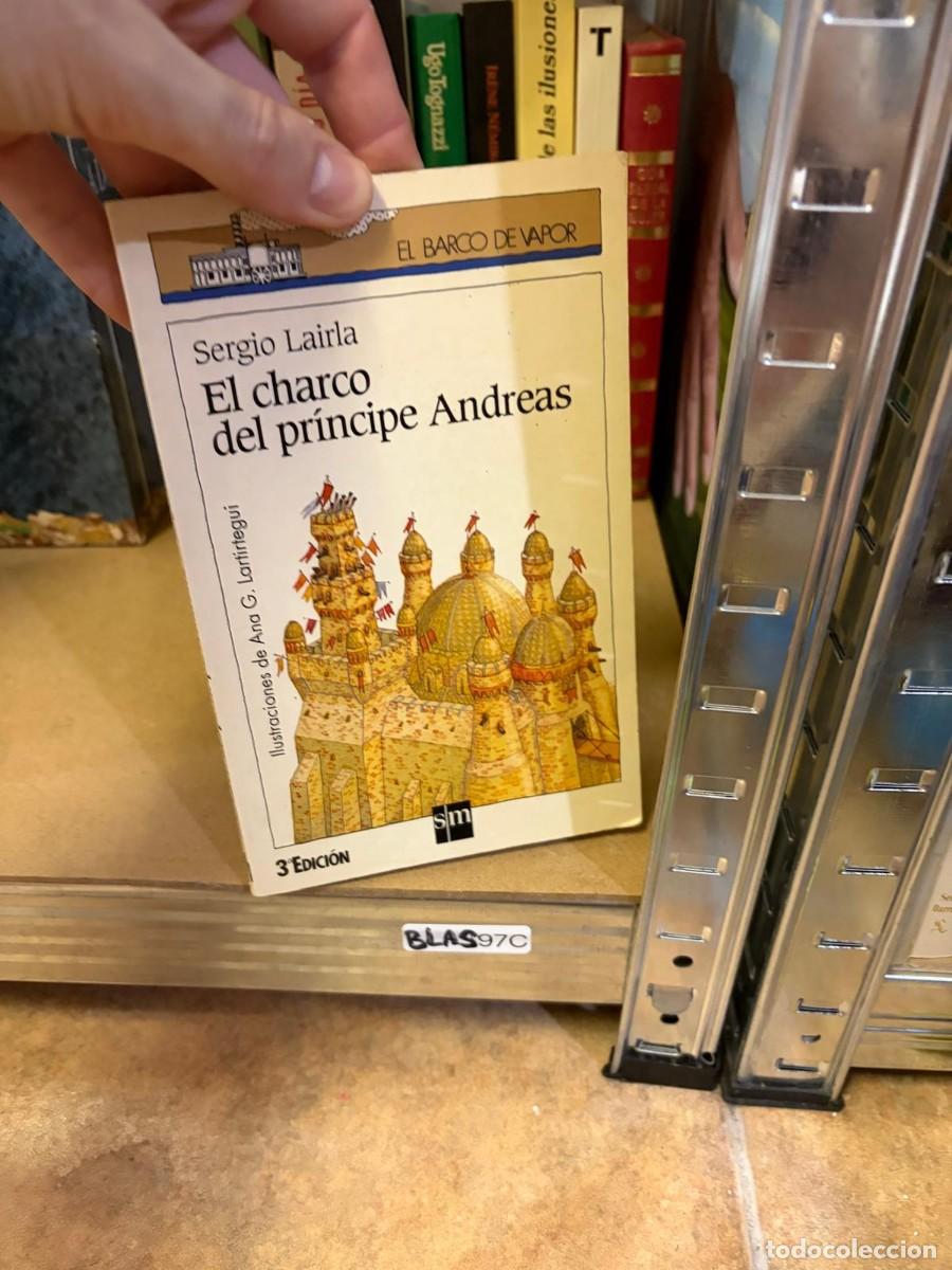 Libros de segunda mano: BLAS97C Sergio Lairla El charco del pr&iacute;ncipe Andreas. SM (El Barco de Vapor).