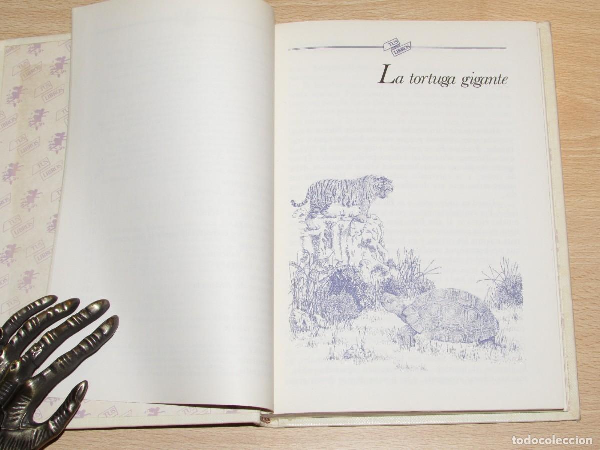 Libros de segunda mano: Cuentos de la selva Horacio Quiroga Anaya 1984 - Foto 11