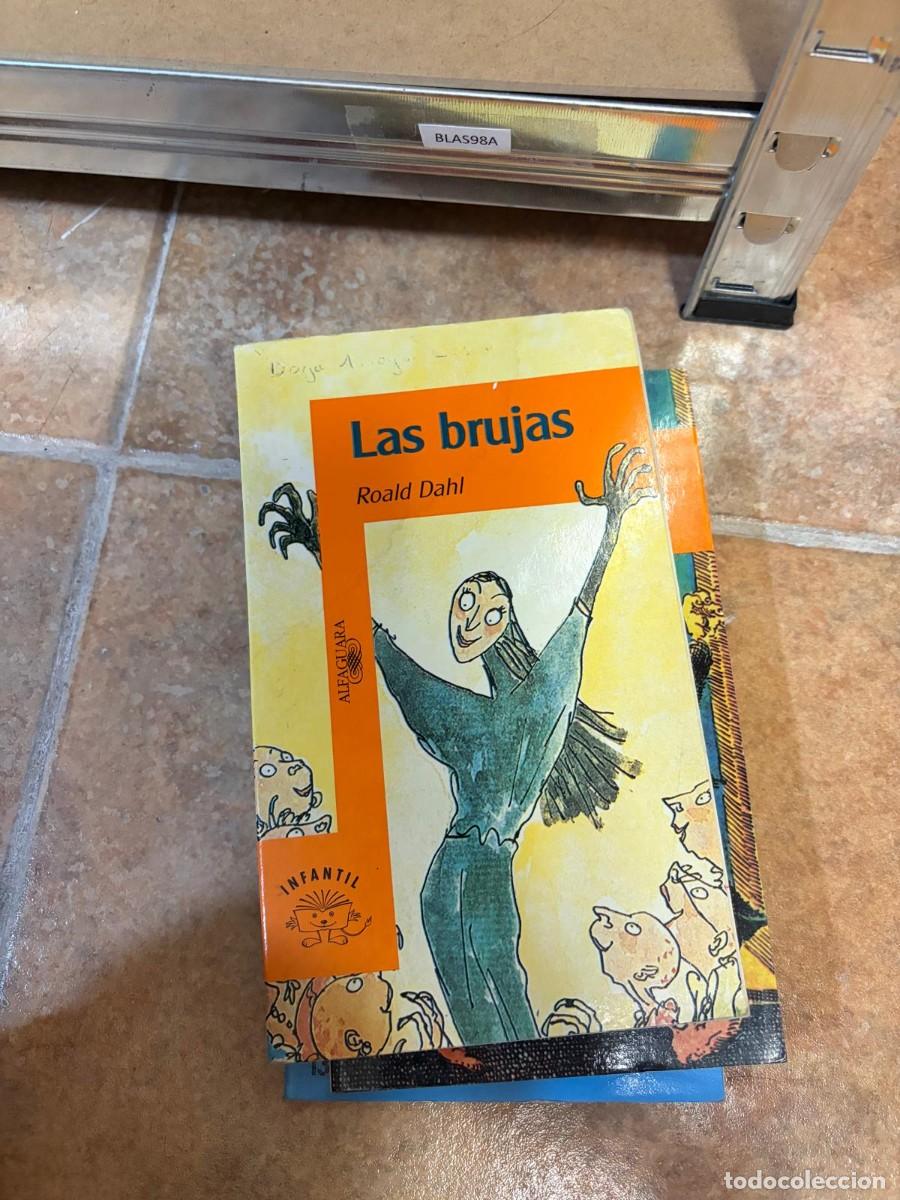 Libros de segunda mano: BLAS98A Roald Dahl, Las brujas, Alfaguara.