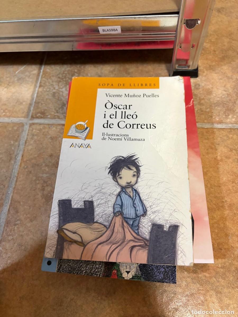 Libros de segunda mano: BLAS98A Vicente Mu&ntilde;oz Puelles &Ograve;scar i el lle&oacute; de Correus Anaya (Sopa de Llibres)