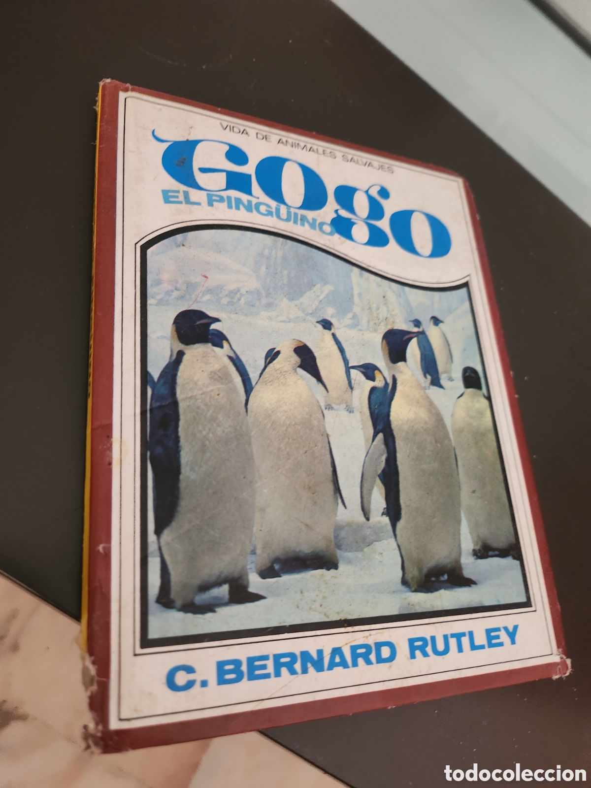 Libros de segunda mano: Gogo el ping&uuml;ino, C. Bernard Rutley,vida de animales salvajes, editorial Molino 1967
