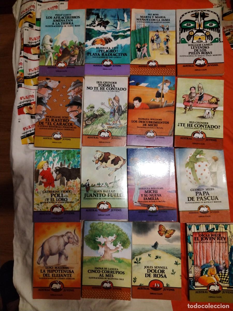 Libros de segunda mano: Lote diecis&eacute;is 16 libros de austral juvenil Espasa Calpe- 1987