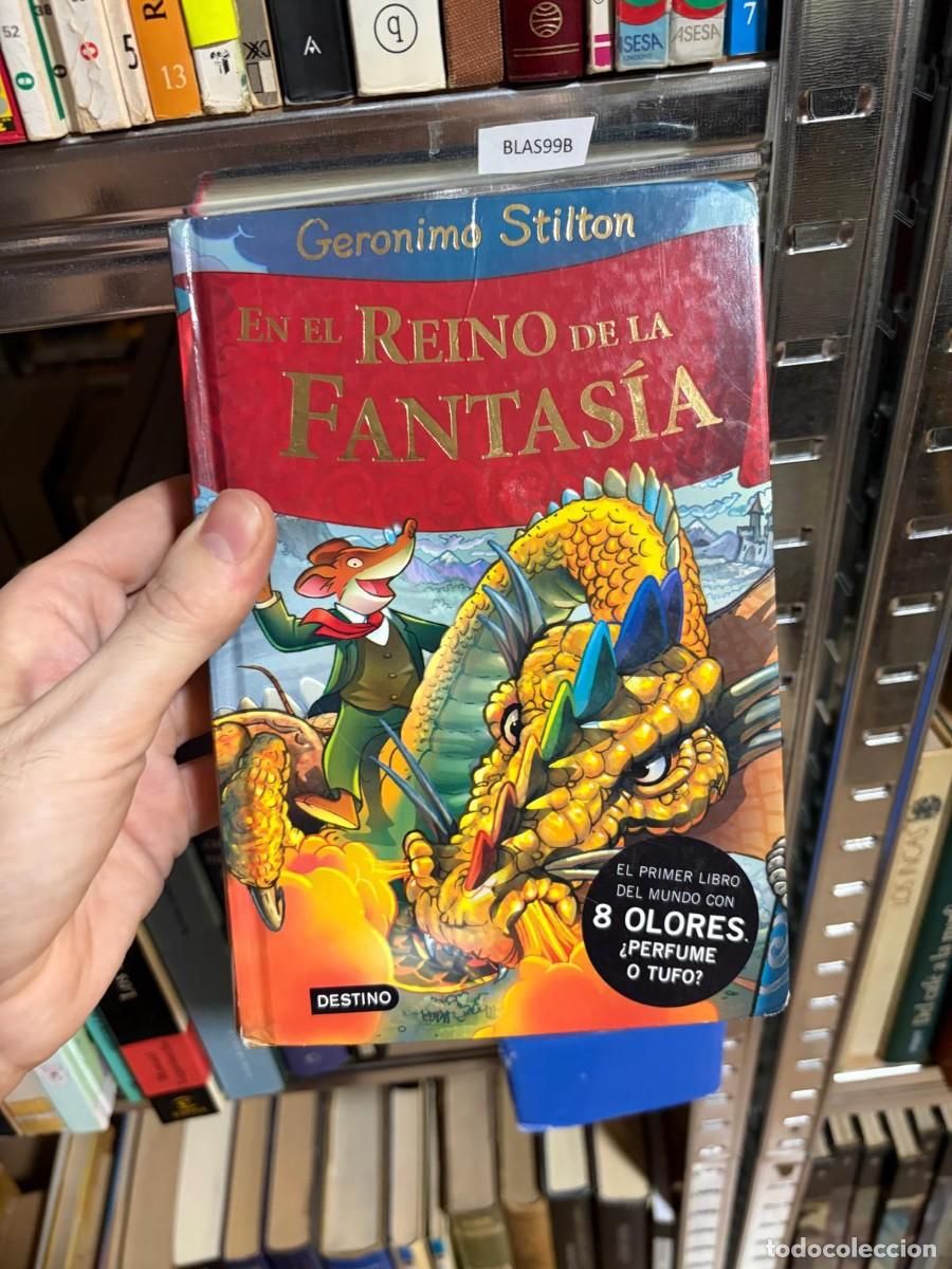 Libros de segunda mano: BLAS99B Geronimo Stilton, En el reino de la fantas&iacute;a, Destino