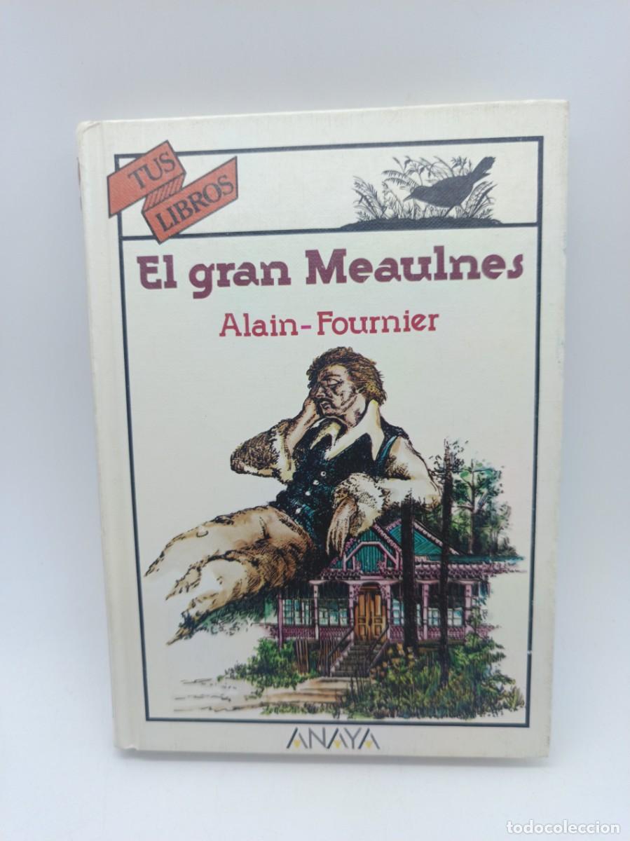 Libros de segunda mano: EL GRAN MEAULNES-ALAIN FOURNIER, COLECCION TUS LIBROS-ANAYA N.32