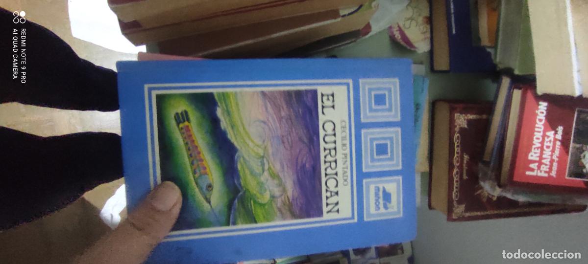 Gebrauchte B&uuml;cher: El curric&aacute;n - Cecilio Pintado. Ilustrado por Esdr&uacute;julus