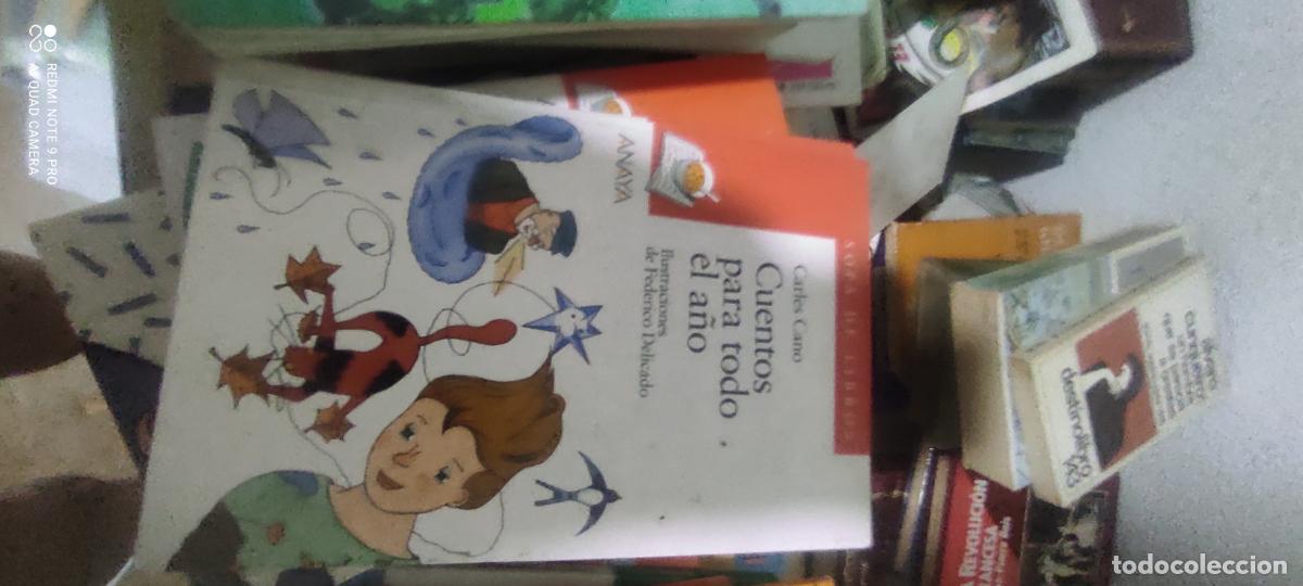 Libros de segunda mano: Cuentos para todo el a&ntilde;o - Carles cano (Anaya sopa de libros)
