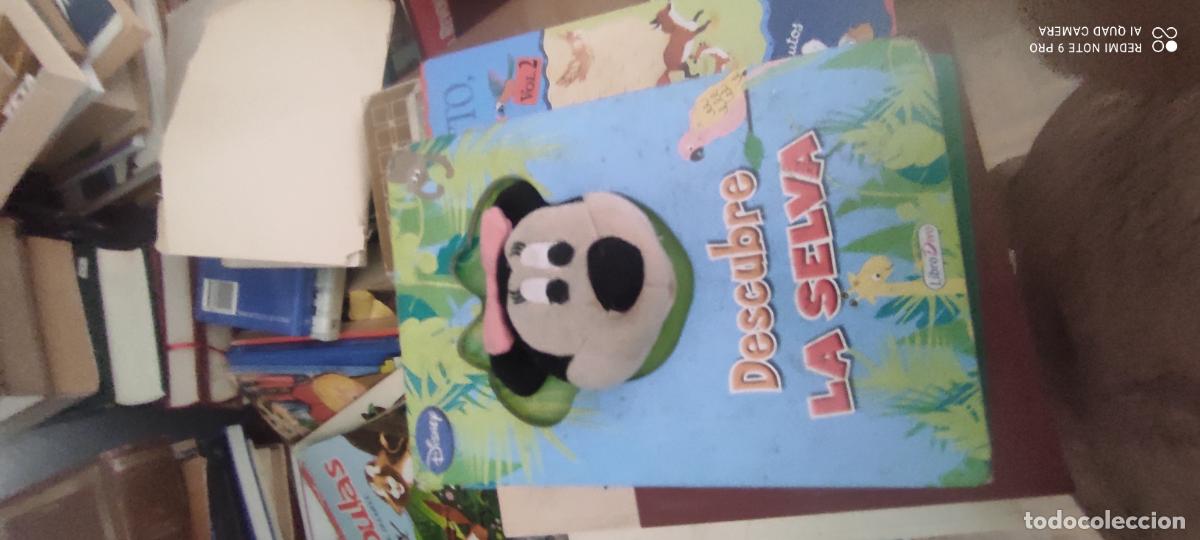Libros de segunda mano: Descubre la selva. Infantil