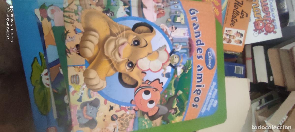 Libros de segunda mano: disney Grandes amigos