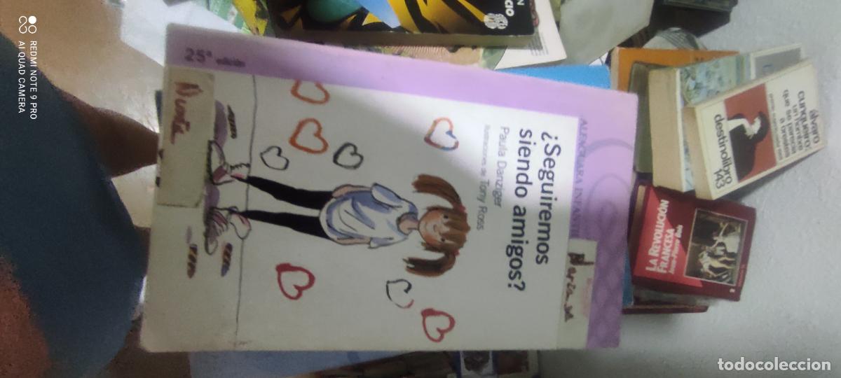 Libros de segunda mano: &iquest; SEGUIREMOS SIENDO AMIGOS ? PAULA DANZIGER ILUSTRACIONES TONY ROSS ALFAGUARA 2011
