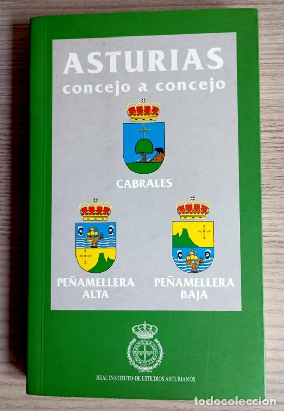 Livres d'occasion: ASTURIAS CONCEJO A CONCEJO - CABRALES / PE&Ntilde;AMELLERA ALTA / PE&Ntilde;AMELLERA BAJA - VARIOS AUTORES