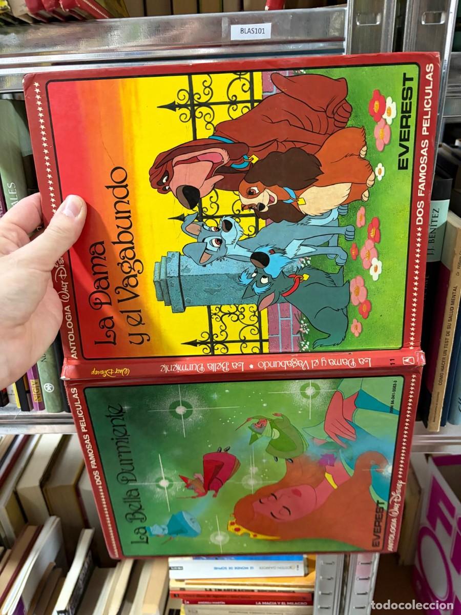 Libri di seconda mano: BLAS101 Walt Disney La dama y el vagabundo y a bella durmiente
