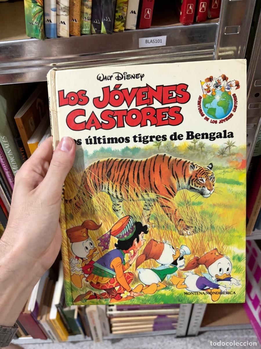 Libros de segunda mano: BLAS101 &mdash; Walt Disney &mdash; Los &uacute;ltimos tigres de Bengala