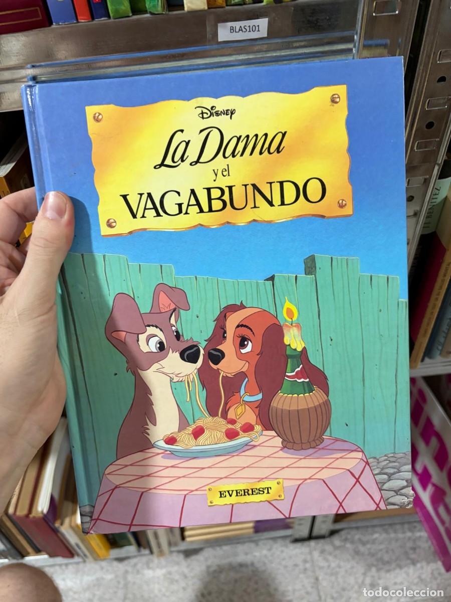 Libros de segunda mano: BLAS101 La Dama y el Vagabundo &mdash; Disney &mdash; Everest