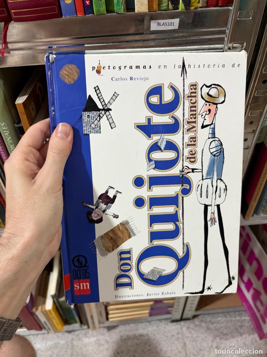 Libros de segunda mano: BLAS101 Don Quijote de la Mancha &mdash; Carlos Reviejo &mdash; SM