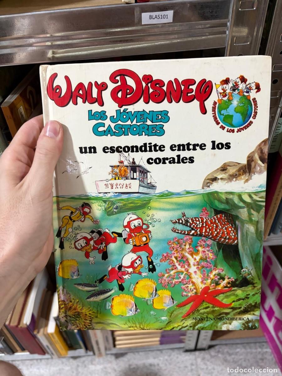 Libros de segunda mano: BLAS101 &mdash; Walt Disney &mdash; Los J&oacute;venes Castores: un escondite entre los corales &mdash; Montena/Mondib&eacute;rica