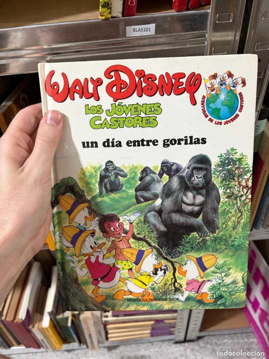 Libros de segunda mano: BLAS101 &mdash; Walt Disney &mdash; Los J&oacute;venes Castores: un d&iacute;a entre gorilas &mdash; Montena/Mondib&eacute;rica