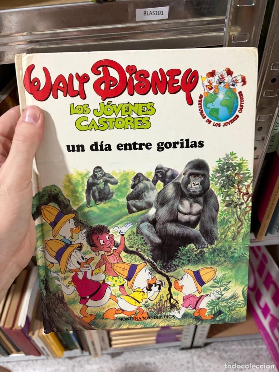 Libros de segunda mano: BLAS101 &mdash; Walt Disney &mdash; Los J&oacute;venes Castores: un d&iacute;a entre gorilas &mdash; Montena/Mondib&eacute;rica