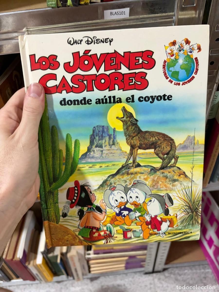 Libros de segunda mano: BLAS101 Walt Disney Los j&oacute;venes castores: donde a&uacute;lla el coyote