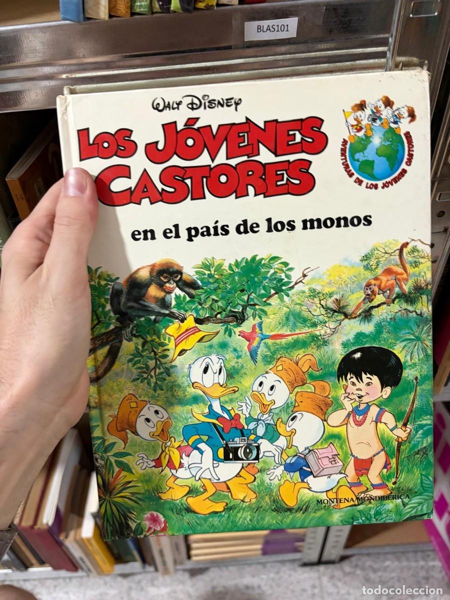 Libros de segunda mano: BLAS101 Walt Disney Los j&oacute;venes castores: en el pa&iacute;s de los monos