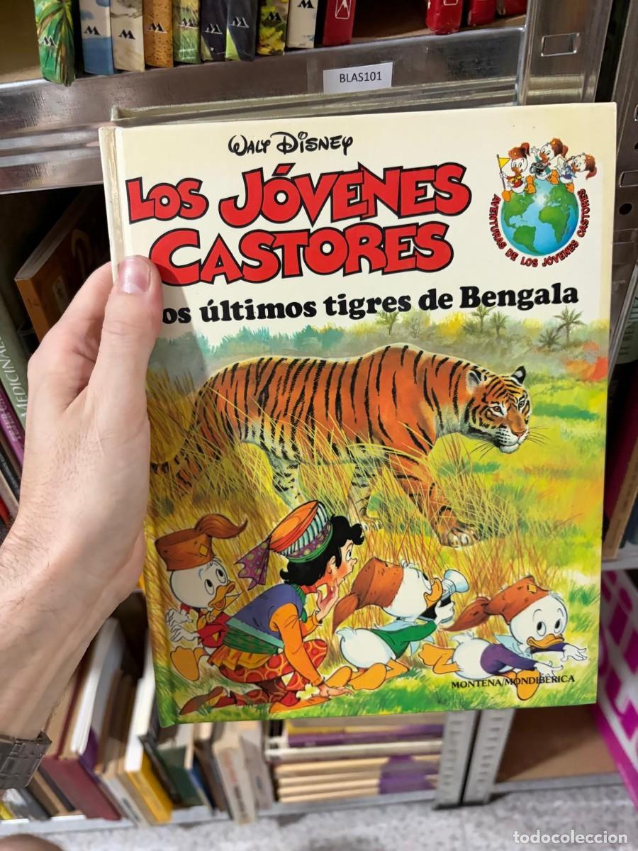 Libros de segunda mano: BLAS101 Walt Disney Los j&oacute;venes castores: los &uacute;ltimos tigres de Bengala
