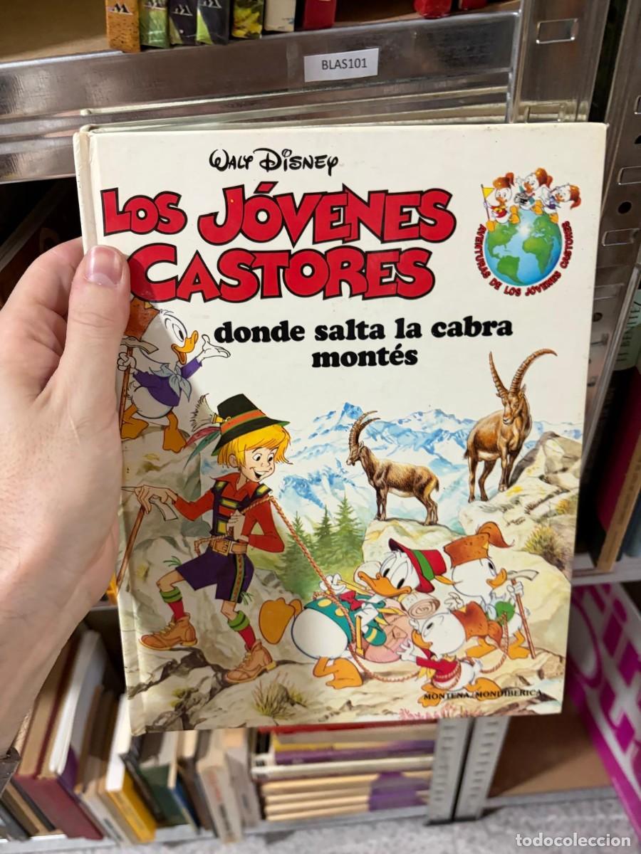 Libros de segunda mano: BLAS101 Walt Disney Los j&oacute;venes castores: donde salta la cabra mont&eacute;s
