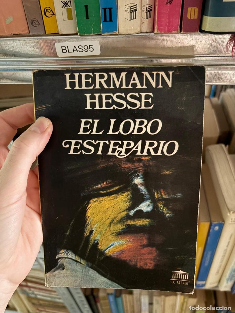 Libros de segunda mano: BLAS95 &mdash; Hermann Hesse &mdash; El lobo estepario