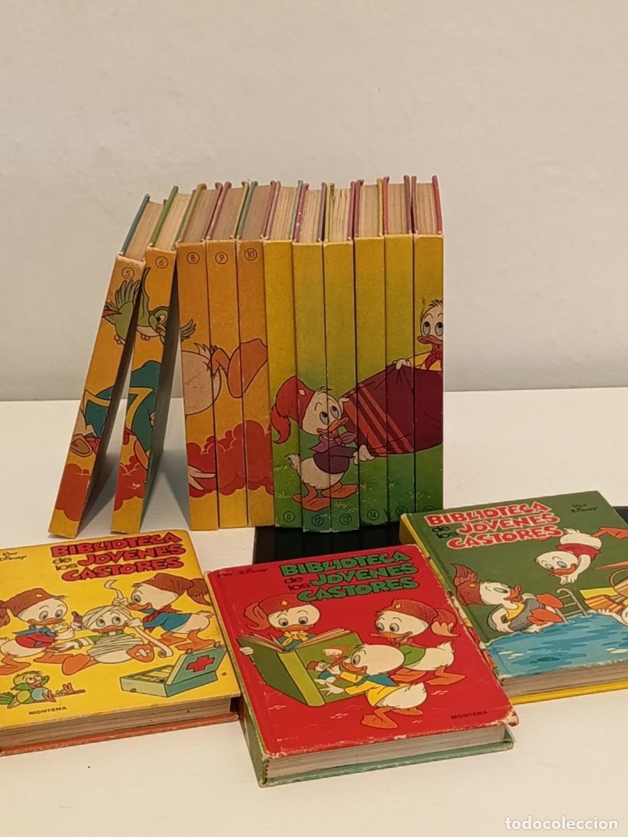 Libros de segunda mano: Biblioteca de los j&oacute;venes castores, Montena 1984. Varios n&uacute;meros (14)