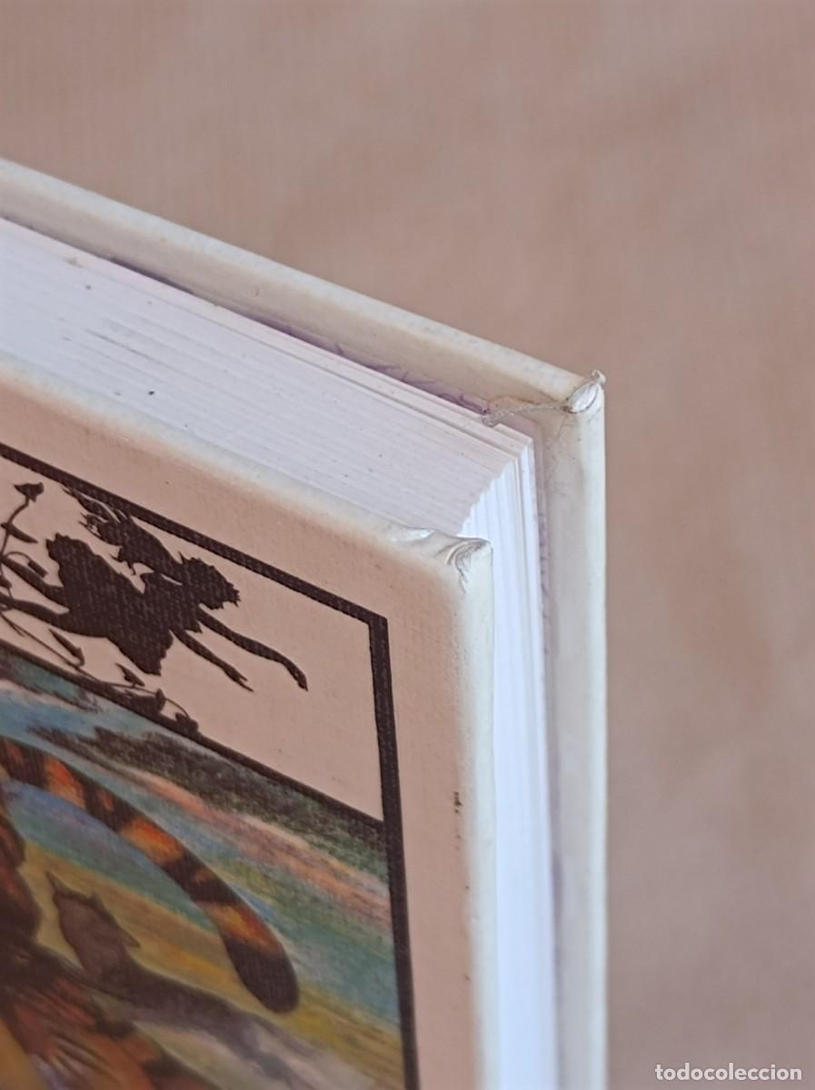 Libros de segunda mano: EL LIBRO DE LA SELVA COLECCI&Oacute;N TUS LIBROS EDICIONES ANAYA - Foto 2