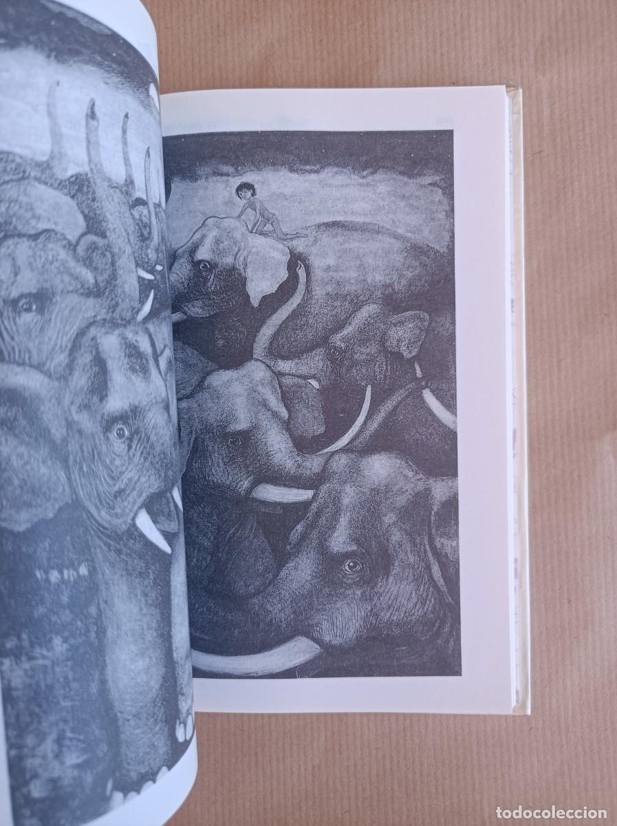 Libros de segunda mano: EL LIBRO DE LA SELVA COLECCI&Oacute;N TUS LIBROS EDICIONES ANAYA - Foto 16