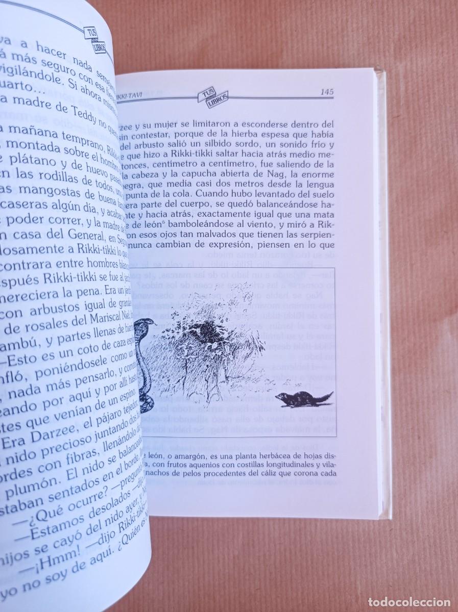 Libros de segunda mano: EL LIBRO DE LA SELVA COLECCI&Oacute;N TUS LIBROS EDICIONES ANAYA - Foto 17