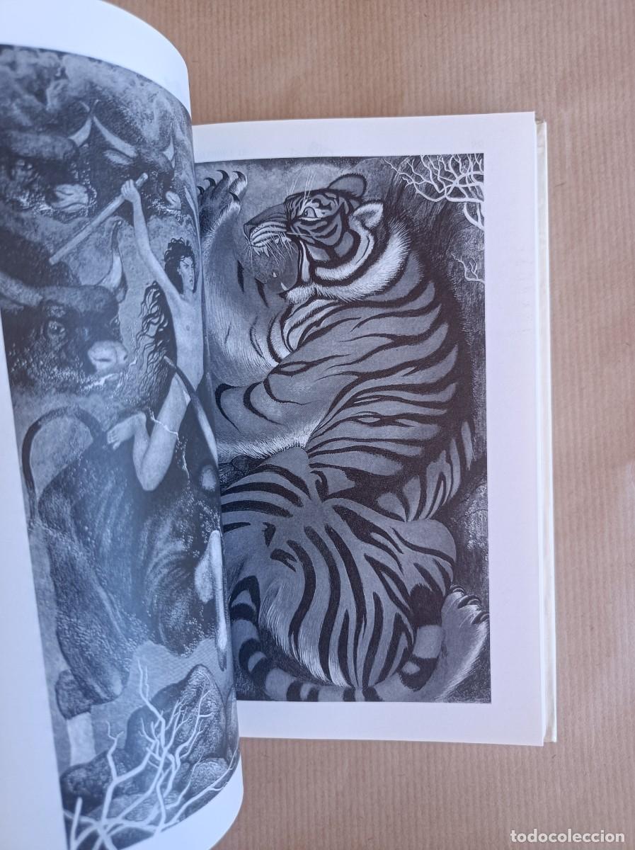 Libros de segunda mano: EL LIBRO DE LA SELVA COLECCI&Oacute;N TUS LIBROS EDICIONES ANAYA - Foto 18