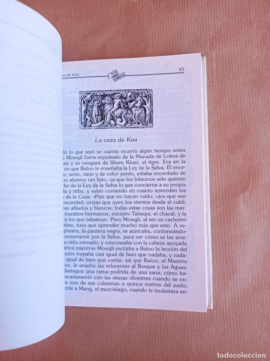 Libros de segunda mano: EL LIBRO DE LA SELVA COLECCI&Oacute;N TUS LIBROS EDICIONES ANAYA - Foto 19