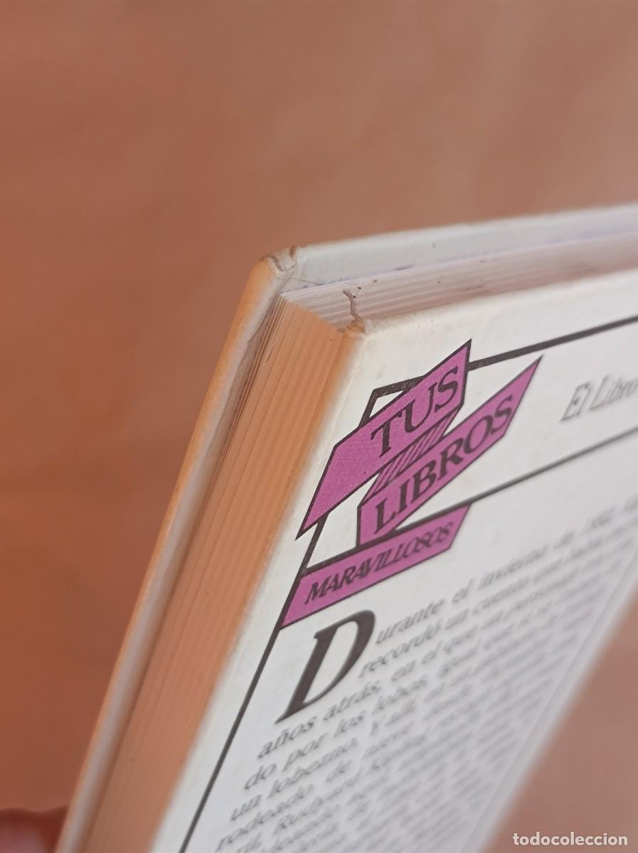 Libros de segunda mano: EL LIBRO DE LA SELVA COLECCI&Oacute;N TUS LIBROS EDICIONES ANAYA - Foto 28