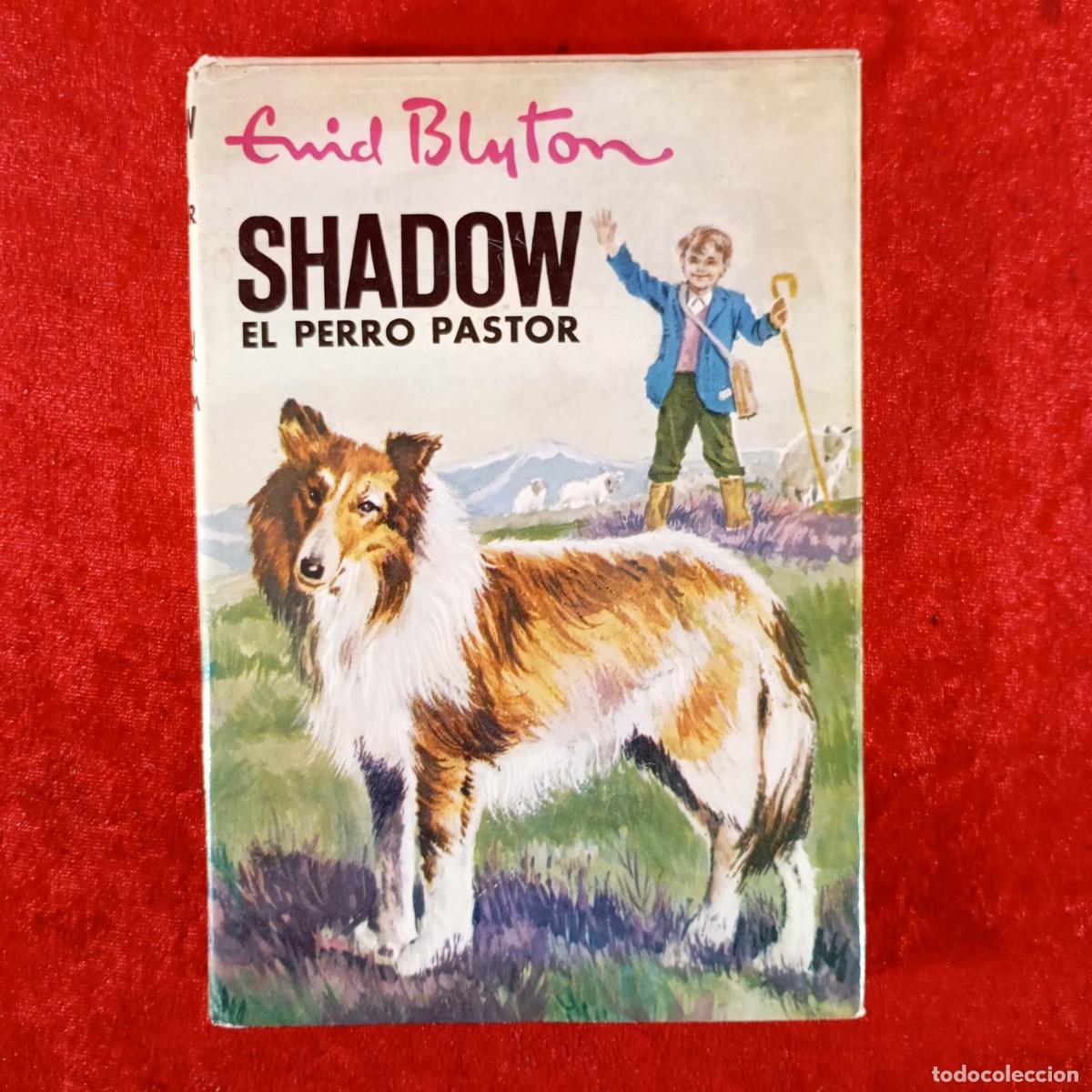 Libros de segunda mano: ENID BLYTON - SHADOW EL PERRO PASTOR - EDITORIAL MOLINO / 1344