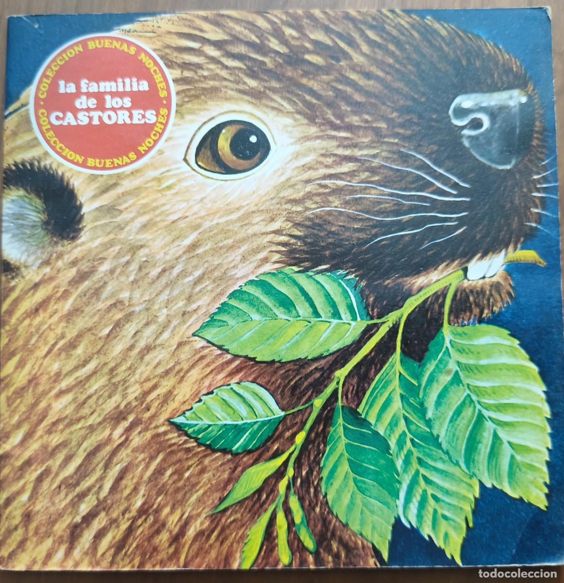 Libros de segunda mano: LA FAMILIA DE LOS CASTORES Cuento Infantil