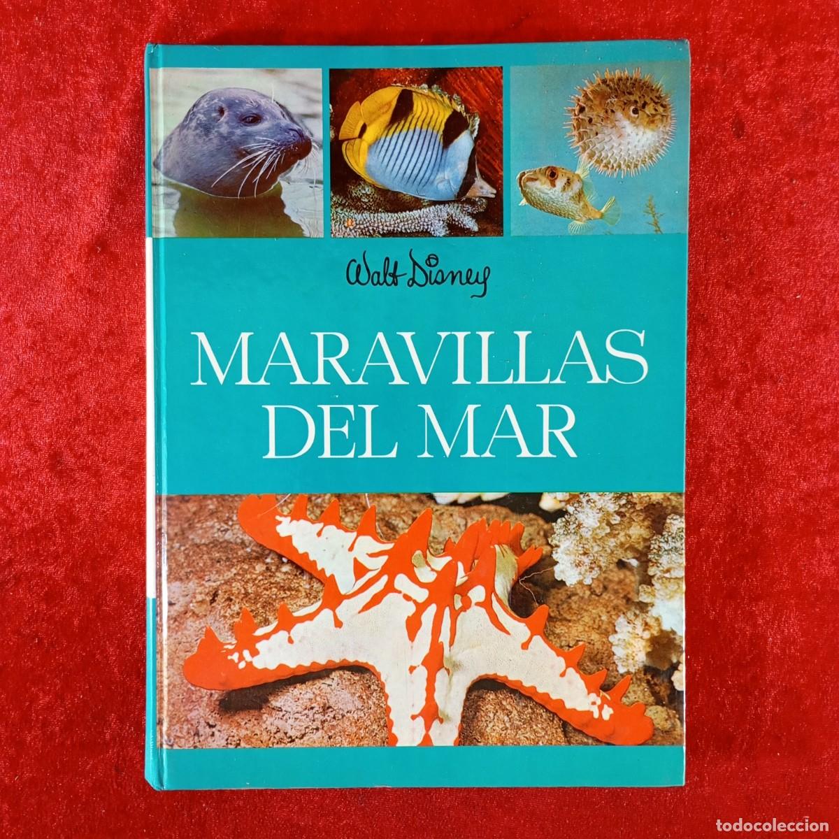 Libros de segunda mano: MARAVILLAS DEL MAR - WALT DISNEY / 1426