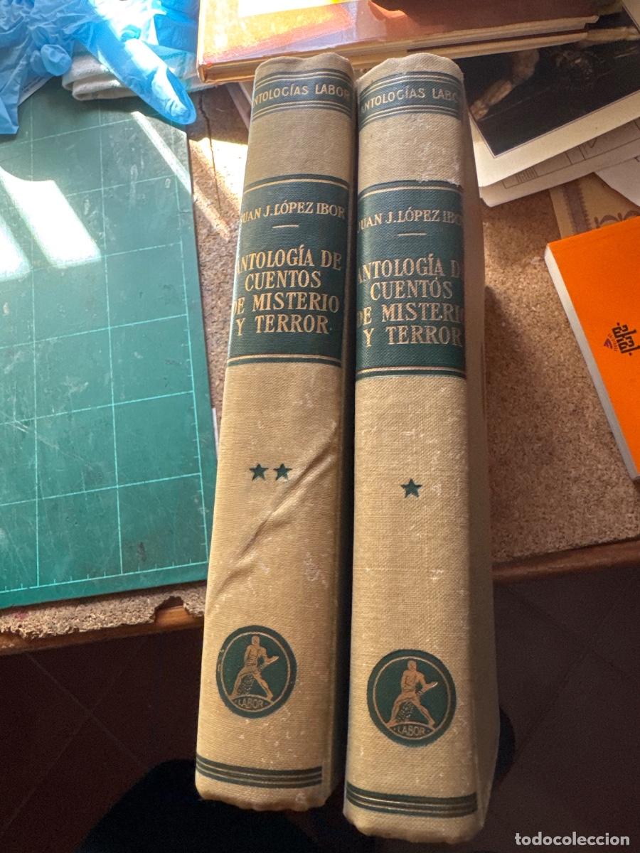 Libros de segunda mano: Antolog&iacute;a de cuentos de misterio y terror. L&oacute;pez Ibor.