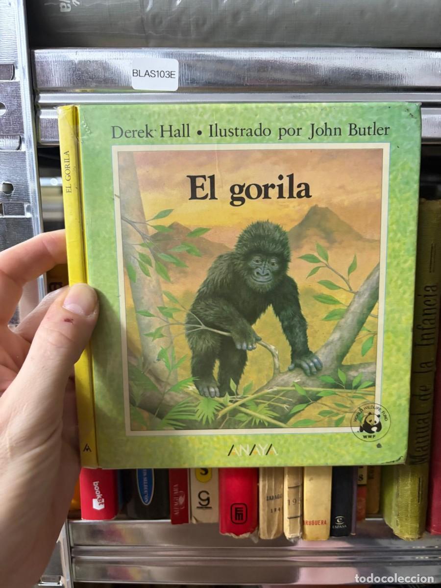 Libros de segunda mano: BLAS103E &mdash; El gorila &mdash; Derek Hall &mdash; Anaya
