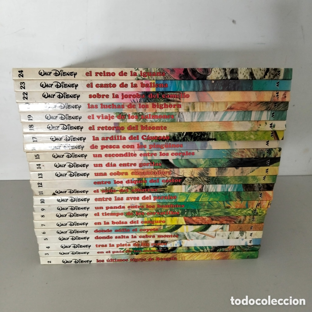 Libros de segunda mano: libros infantiles de la colecci&oacute;n Los J&oacute;venes Castores