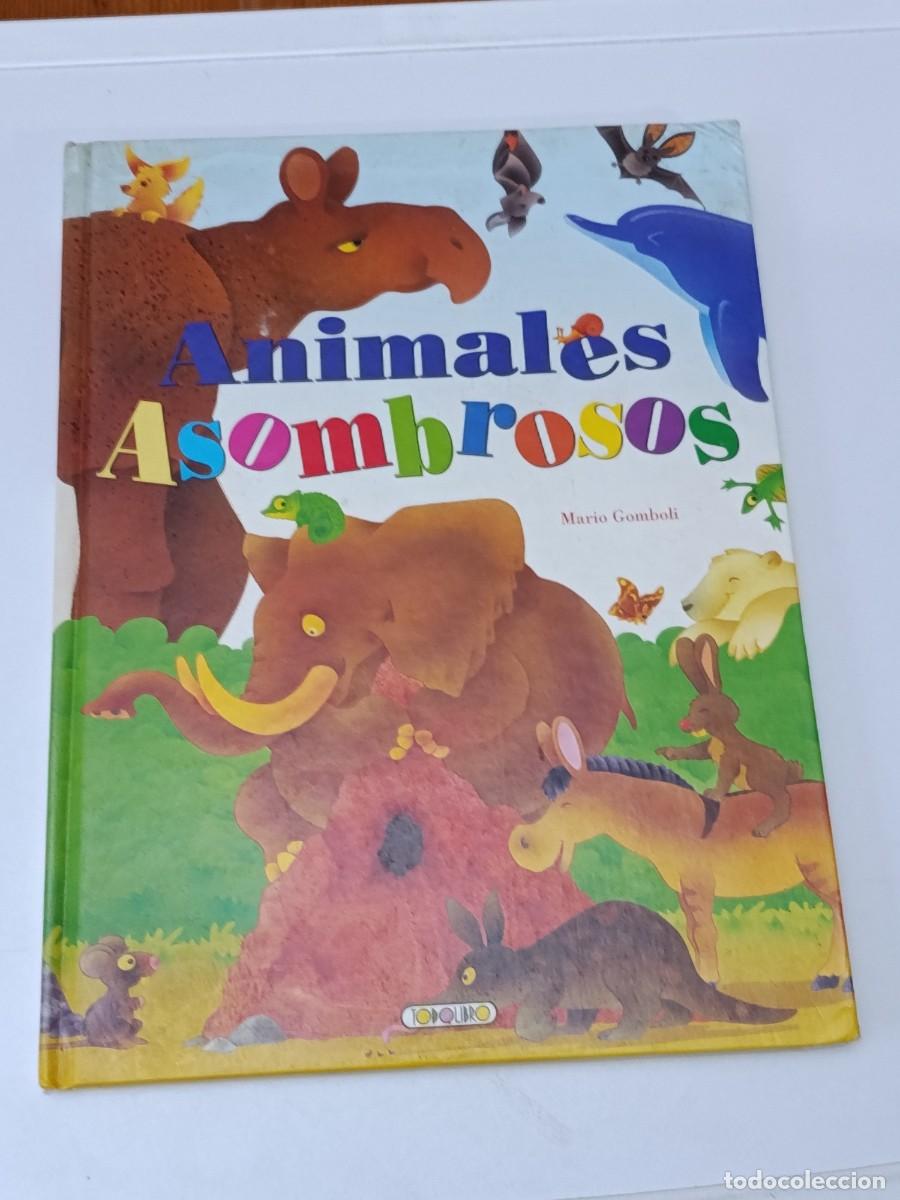 Gebrauchte B&uuml;cher: CUENTO ANIMALES ASOMBROSOS